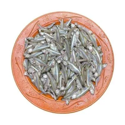 মলা মাছ